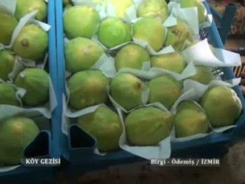 134 Ödemiş Birgi İncir Festivali