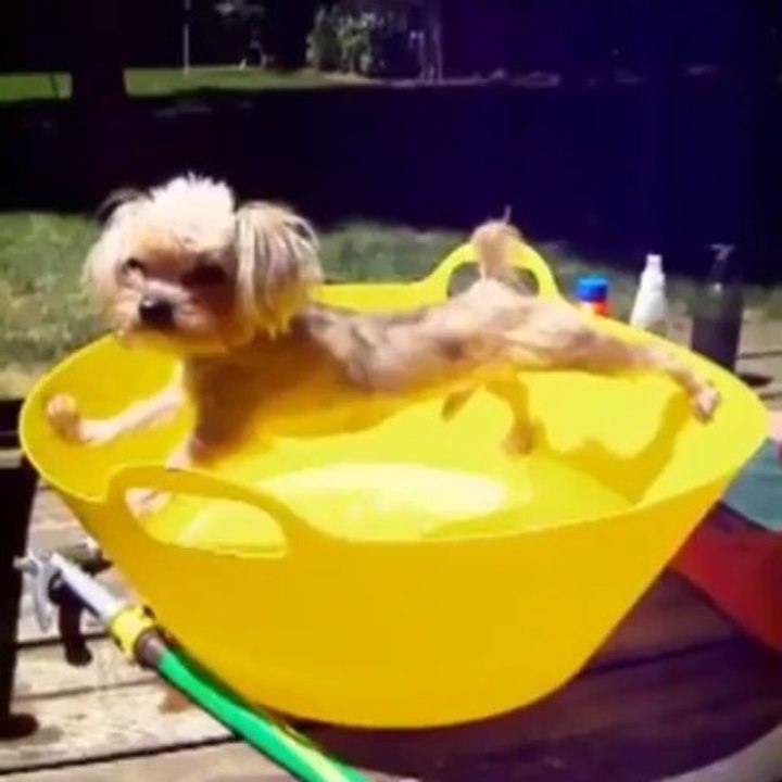 How to get out of bath time