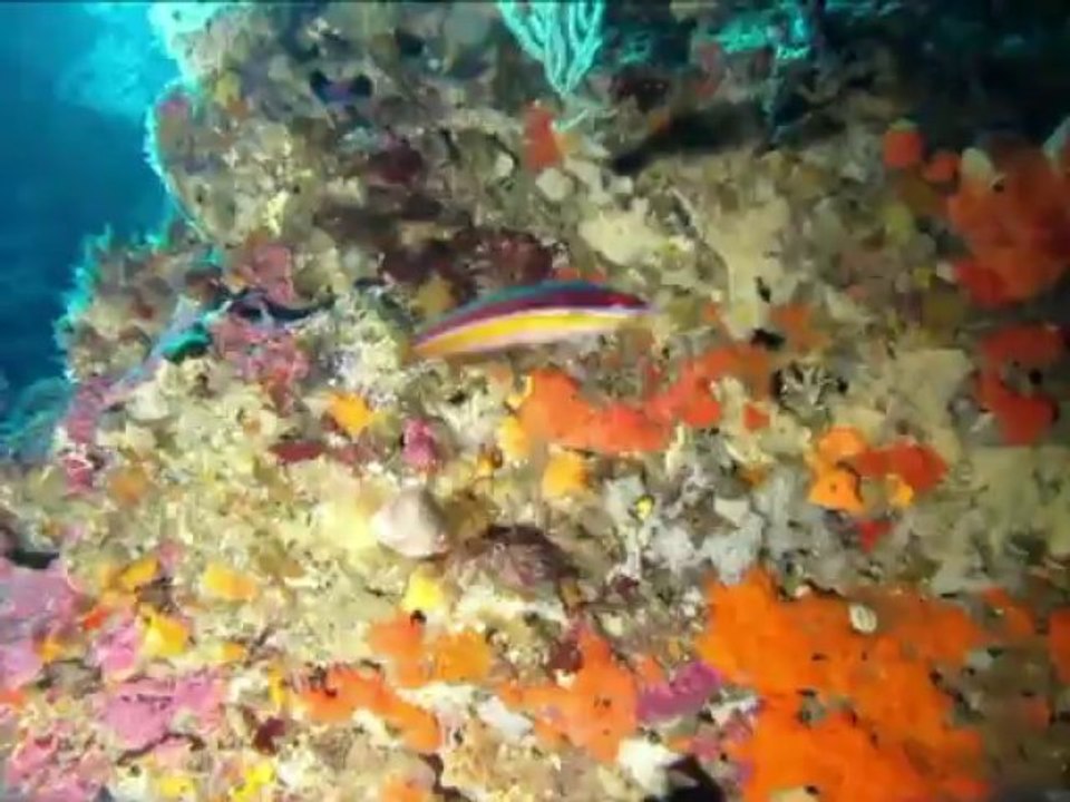 Plongée la grotte mysterieuse