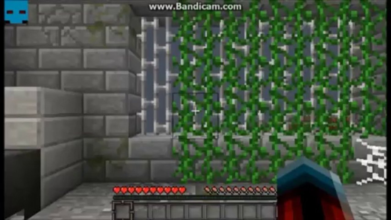 Cops and Robbers w/ MindMaster and squekybob Part 2