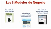 3 Modelos de Negocios En Internet  ǀ Micro Nichos Rentables
