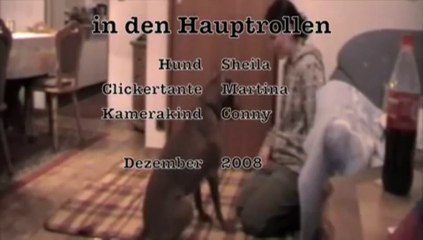Meistere das Clickertraining mit frauhund.de 🐶 – Kostenloser Einstiegskurs