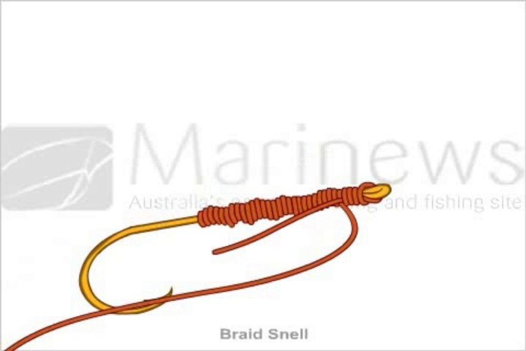 Braid Snell Knot
