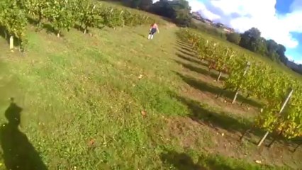 SHAIRO EN RECHERCHE UTILITAIRE SHARPEÏ