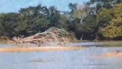 s-3's Highlights from October 7, 2013, 4:31 PM