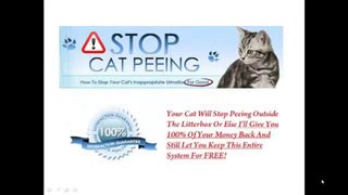 how to stop cat peeing on furniture
