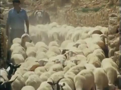 1-The Spanish Civil War - Prelude to Tragedy