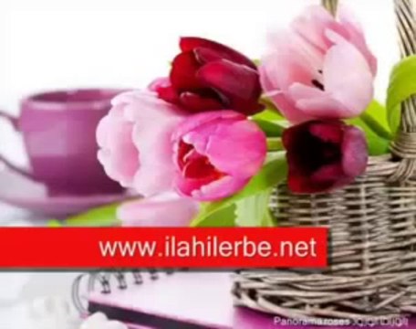 Adem Pala Anam ilahisi dinle