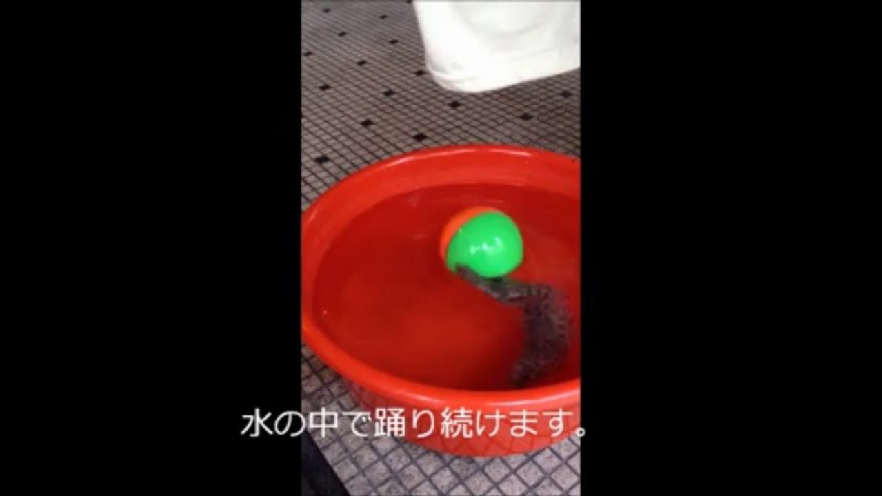 Water dancingエイリアン？