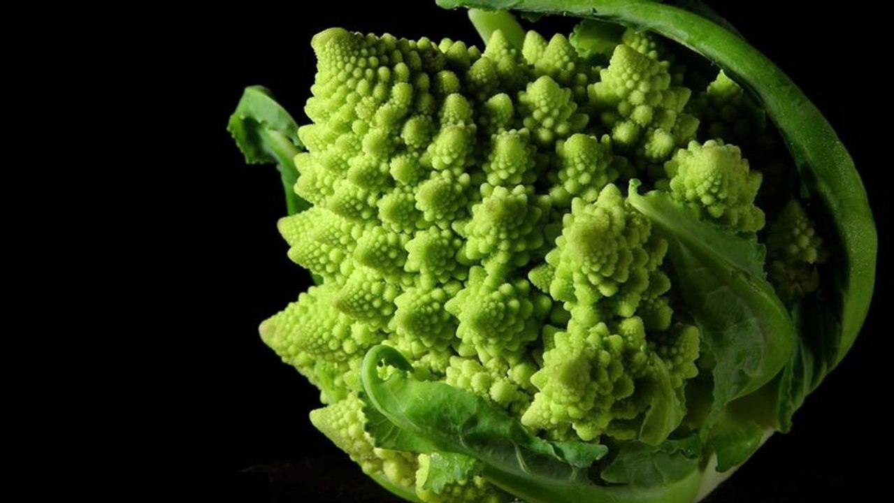 Dessine moi un mouton - Chapitre 11 / Fractales