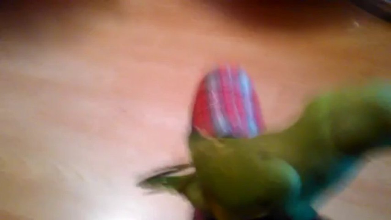 VID_20130921_155305