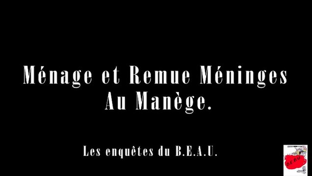 Menage et remue méninges au manège