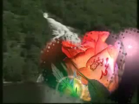 cemal kuru şefaatçim sen ol (s a v) ilahisi dinle