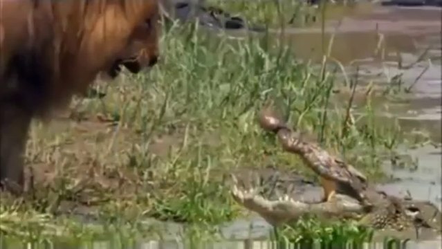 en duygulu ilahi 2012 ilahiler NASHEED 2012 ilahisi dinle