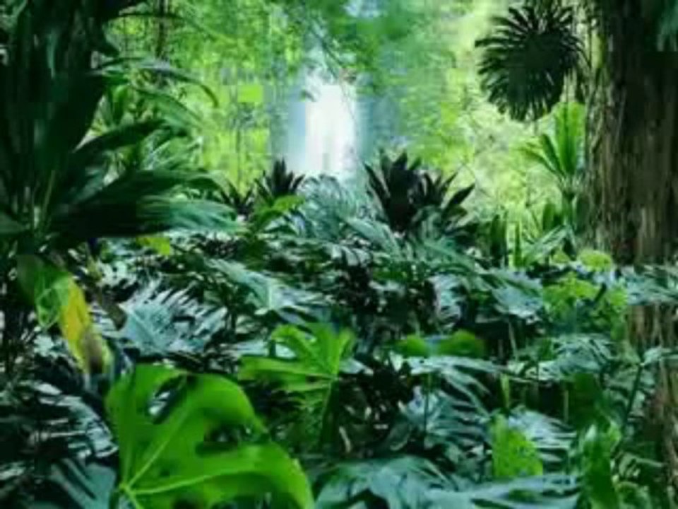 En güzel ilahiler...İnşirah Duası - Dursun Ali Erzincanlı