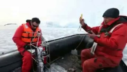 Instituto Antártico Chileno, ejemplo de vanguardia de la ciencia antártica