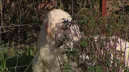 - Monago: "Hemos protegido el medio ambiente, ahora hay que ponerlo en valor"