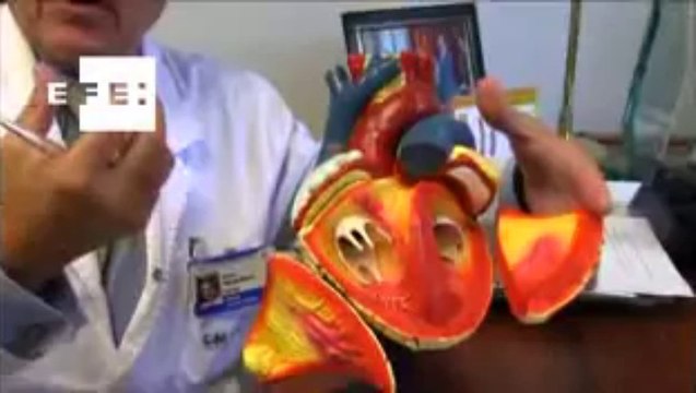 Qué es y para qué nos sirve el corazón