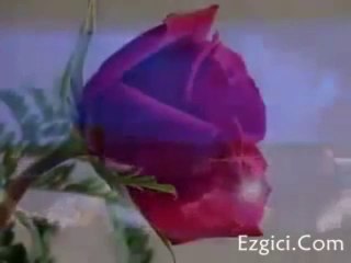 Eşref Ziya - Ah Efendim