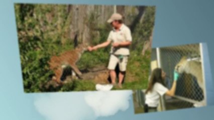 Animal Welfare Courses