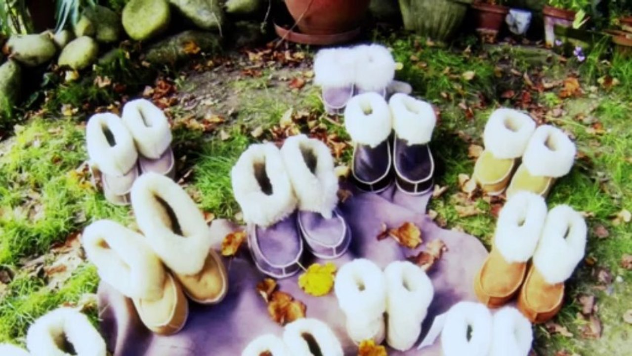 Le Mouton des Pyrénees