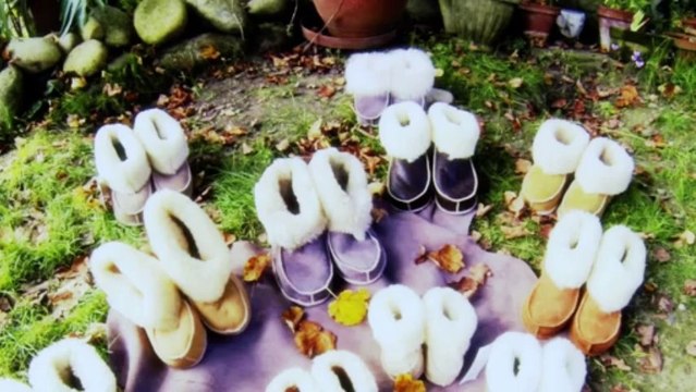 Le Mouton des Pyrénees