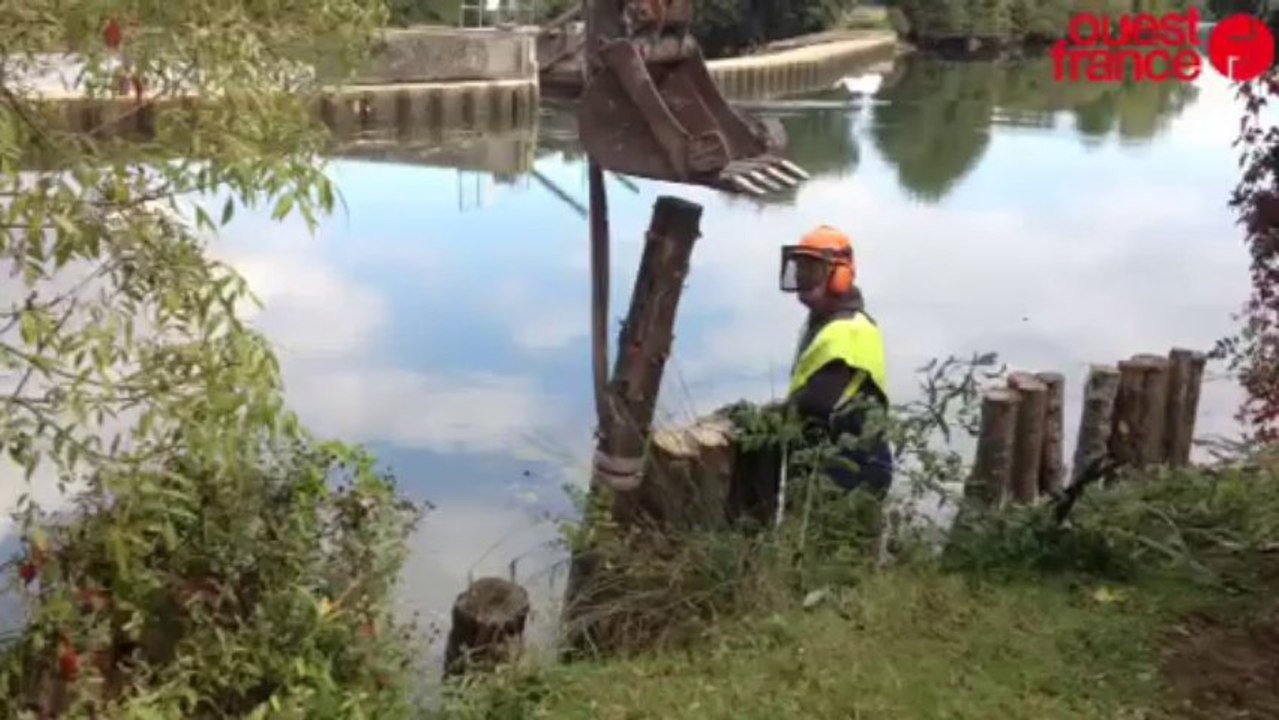 Travaux sur les berges du Loir - Travaux sur les berges du Loir