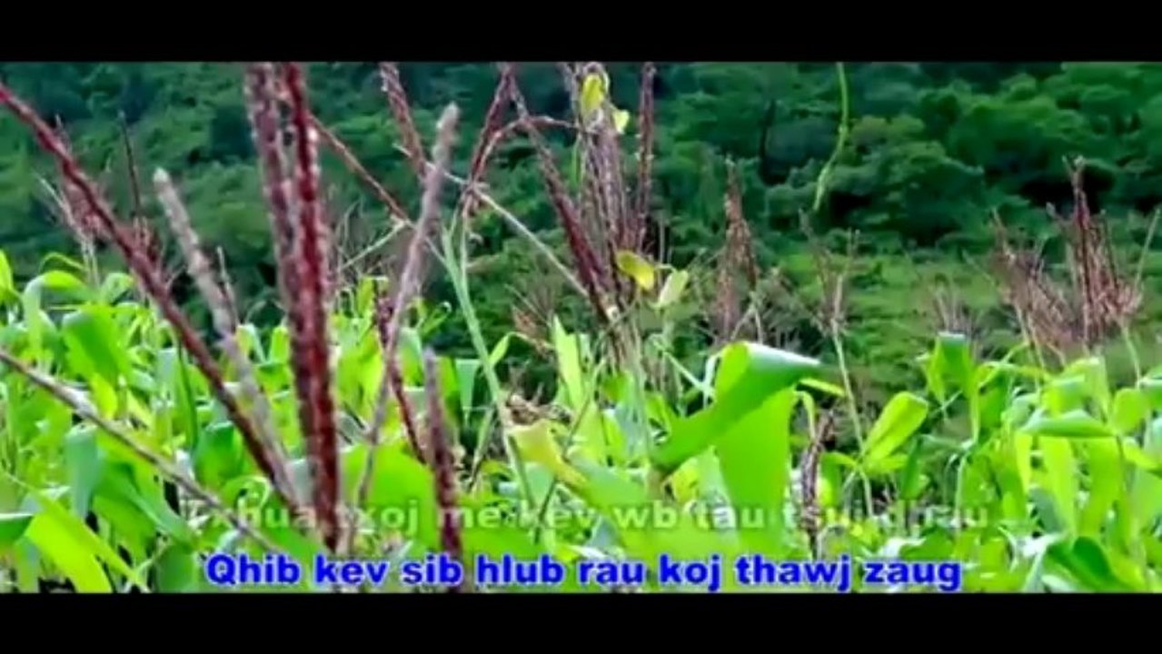 Nis Yang-Tshuav Ib Tug Xyw Hlub