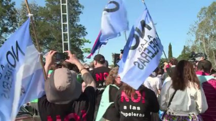 Hundreds protest against Uruguay's paper pulp plant