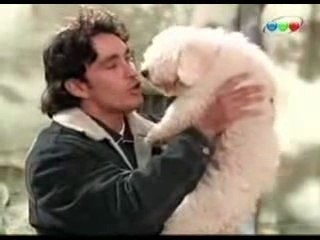 Franco Buenaventura El profe