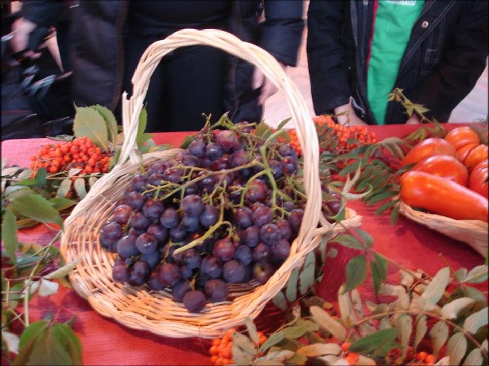 Fruie et légume à Rosheim 2013
