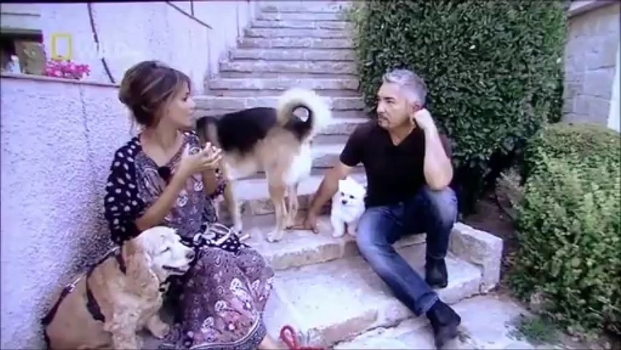 Une femme exemplaire