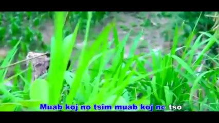 Nis Yang-Ua Txhaum Luag Qub Teb