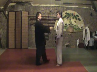 Shizentai ryo mune dori :  empi to shuto