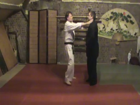 Shizentai ryote kubi shime dori : empi waki gatame