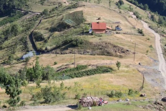 Feriz dhe Ali Krasniqi - Osa Kuka 'Origjinali'