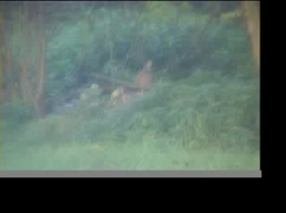 Au Mesnil pinpin se porte bien !