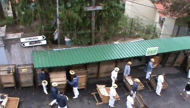 Schlittenfahrt auf Madeira Funchal Monte 25.09.2013 Hubert Fella Matthias und Dagmar Mangiapane