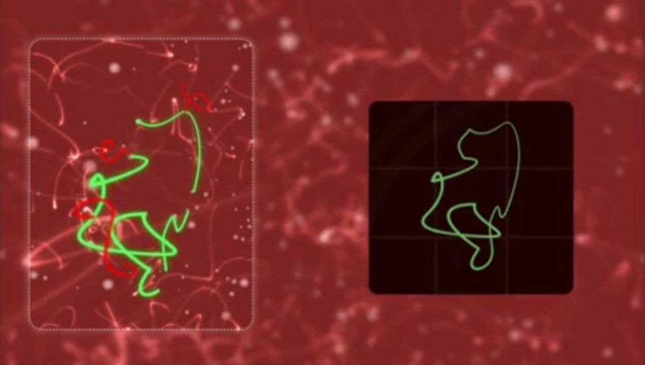 Reimage Clip