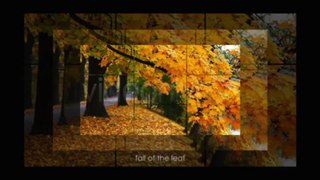 Seasons Miracles Slideshow - After Effects Template
