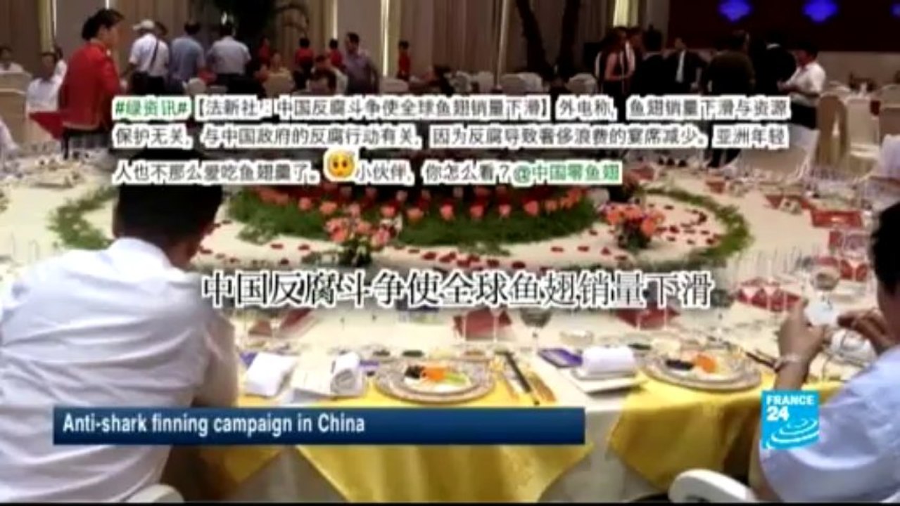 WEB NEWS - Muslim Brotherhood's four-fingered R4bia symbol