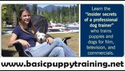 Dove Cresswells Dog Training Online Review + Bonus