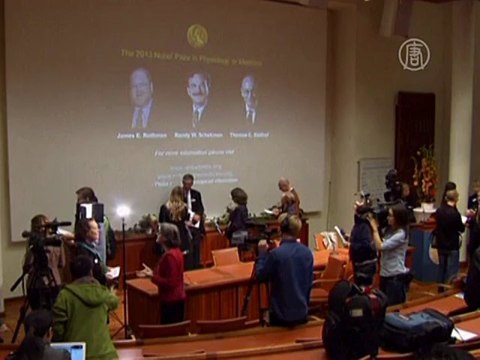Присуждена Нобелевская премия по медицине