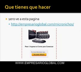 micro nichos rentables 2 bonos