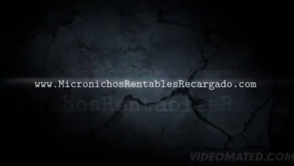 MICRO NICHOS RENTABLES RECARGADO