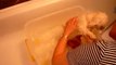 Bichon Frise Puppy: Giving Bella a bath