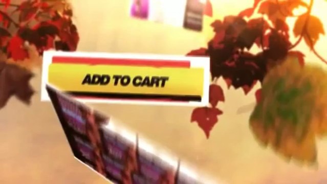 Ideal Body Blueprint For Fat Loss