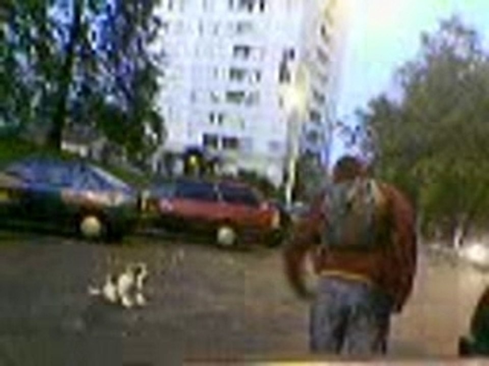 le faux chien
