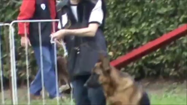 concours aiseau 6/10/2013 kathe