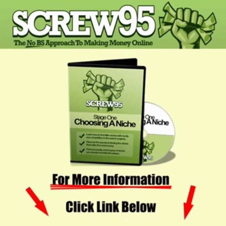 Screw95: The No Bs Approach To Building Wildly Profitable Niche Sites